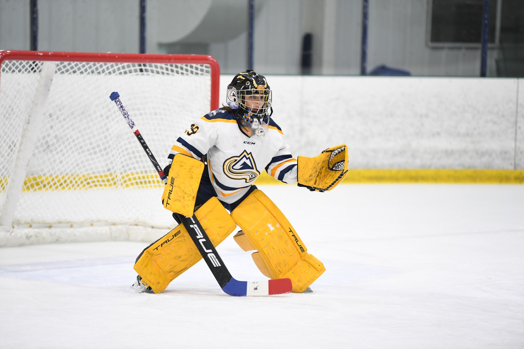 Hockey IQ on ice