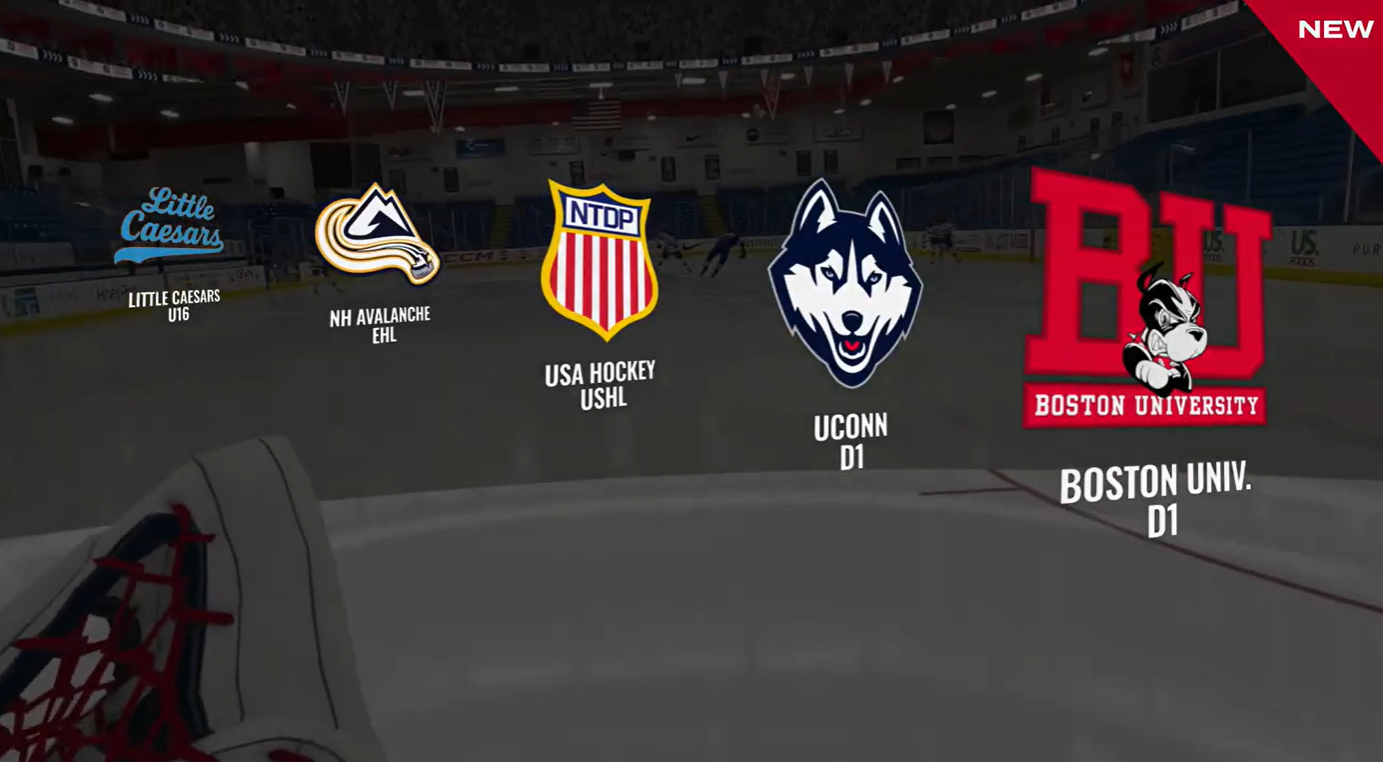 Goalie Game Flow NHL Sense Arena